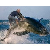 Alan Peterson's photo