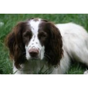Gaynor Wall's photo