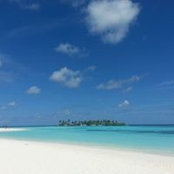 Roberta Ferraro's photo