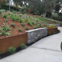 plants for hillside