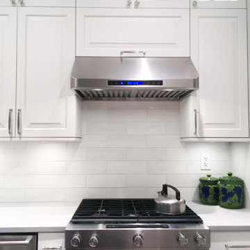 Proline PLJW 113 Series Stainless Wall Range Hood