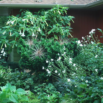 Moitrier Garden