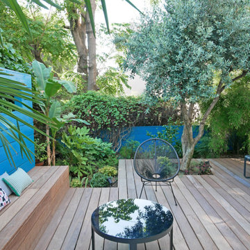 Petit jardin à l'ombre