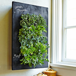 Exclusive at William -Sonoma - Home Decor