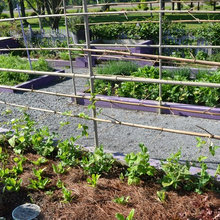 garden/greenhouse
