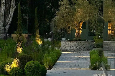 Inspiration for a modern garden in Other.