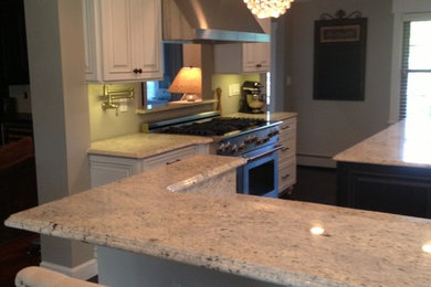 Kitchen - transitional kitchen idea in Detroit