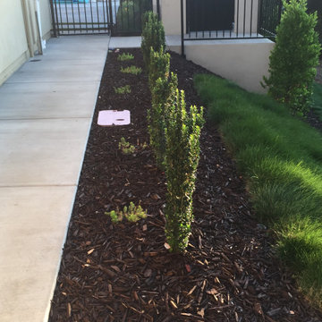 El Dorado Hills - Serrano Complete Landscape
