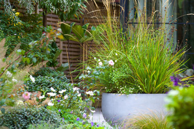 Inspiration for a modern garden in London.