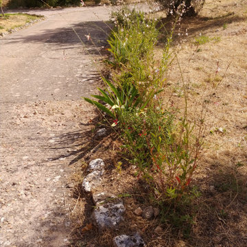 EL JARDÍN SIN RIEGO