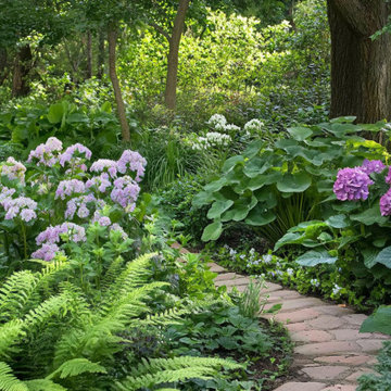 Tickled Pink Shade Garden