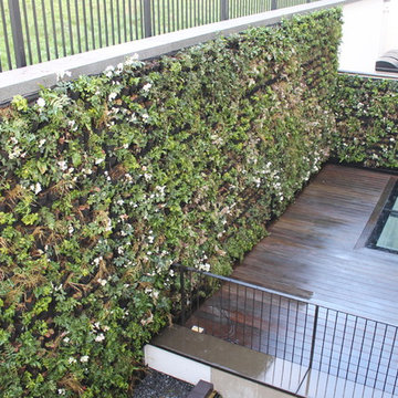 Green Peace