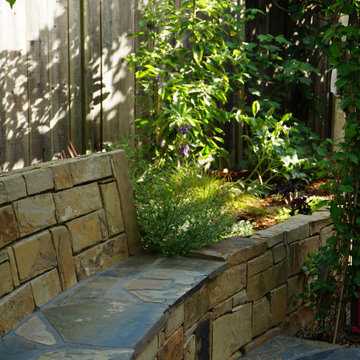 Hot Colors, Cool Garden