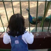 Amna Khazindar's photo
