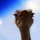 tim_lull