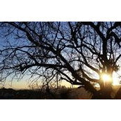 Letty Garcia's photo