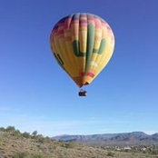 Liz Boess Lare's photo