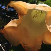 Christa Lohman's photo