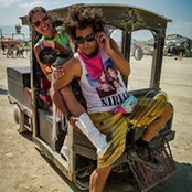 Joshua Levine's photo