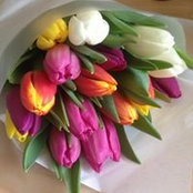 Vonnie Ingham's photo