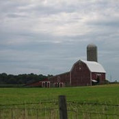 Judy Crook's photo