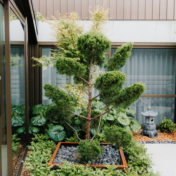 Campbell Courtyard