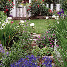 Backyard garden