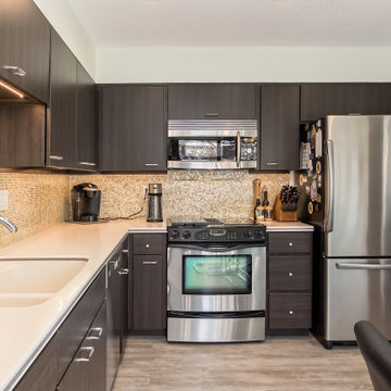Transitional Kitchen Remodel Done With Modern Slab Doors