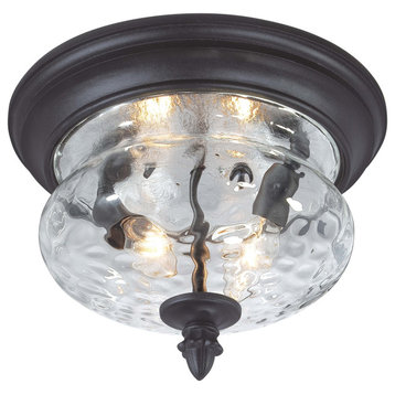 The Great Outdoors 9909-1-66 Ardmore 2 Light 12"W Flush Mount - Black