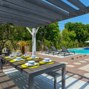 Mid Century Modern Alexander Renovation