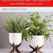 Plants/Planters