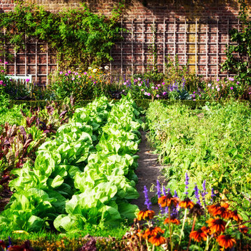 herb and vegetable gardens