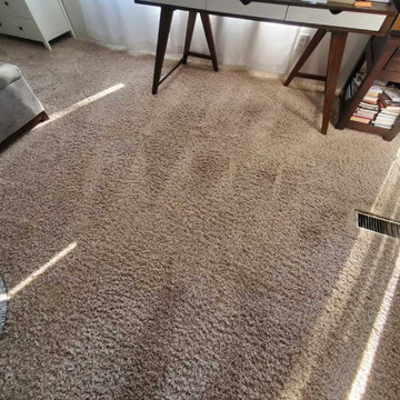 Carpet Cleaning Urine Removal Feces Removal Anmore BC Canada