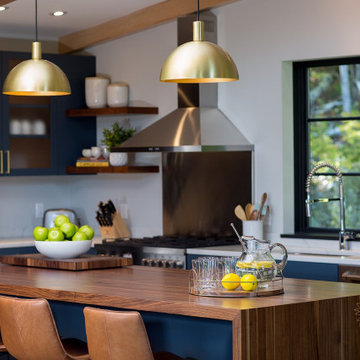 Mid Century Modern Major Renovation