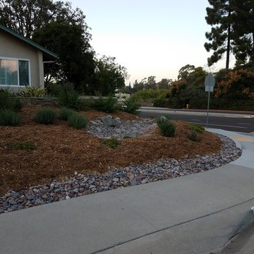 Rain Gardens