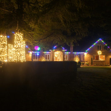 Holiday Light in Woodinville