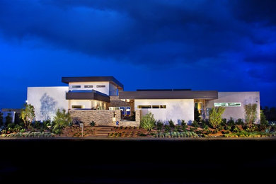 Photo of a mid-sized modern home design in Las Vegas.