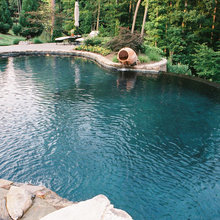 Gunite Pool Color