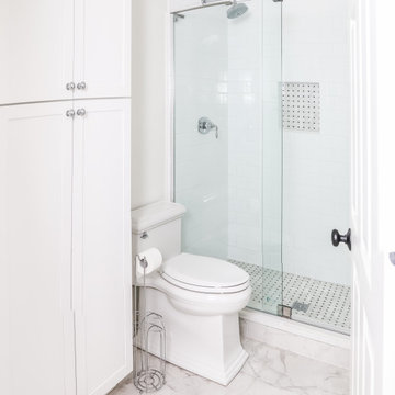 Master & Common Bath Remodel in Park Ridge