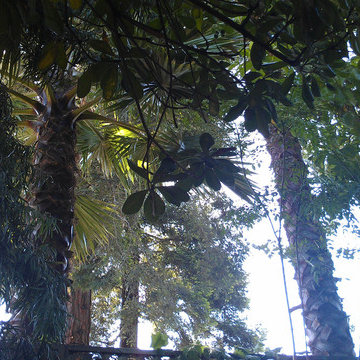 Secret Sanctuary Garden