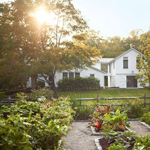 gardening & landscape
