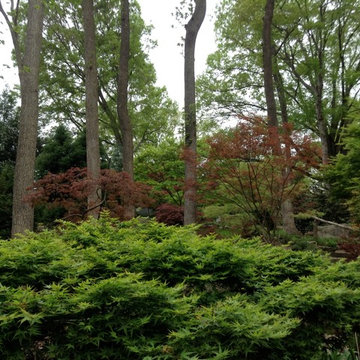 Favorite Plants and Cool Stuff