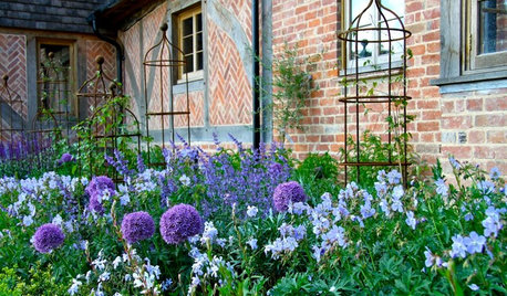 Der Garten im Juli – was jetzt zu tun ist