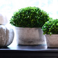 Decor
