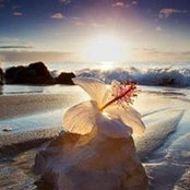 Sue Elliott's photo