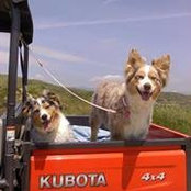 Karen Caesar's photo