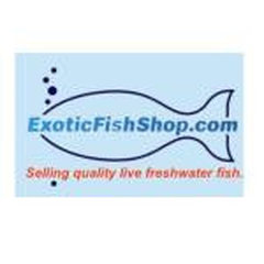 exoticfishshop