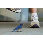 Marla Bender's photo