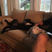 Foto von Tammy Vickery