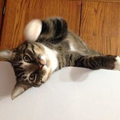 Marlea Oates's photo